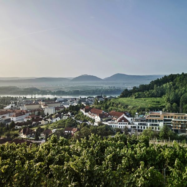 Steigenberger Hotel & Spa Krems