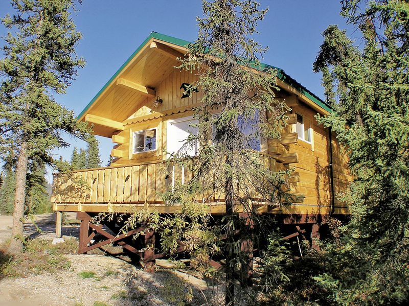 Denali Grizzly Bear Cabins & Resort Hotel Cedar