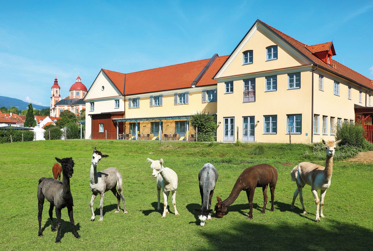 JUFA Hotel Pöllau – Bio Landerlebnis