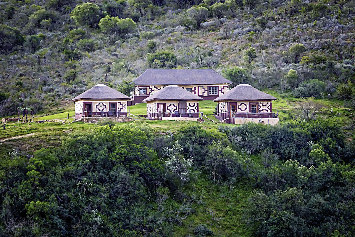 Addo Bush Palace Private Reserve
