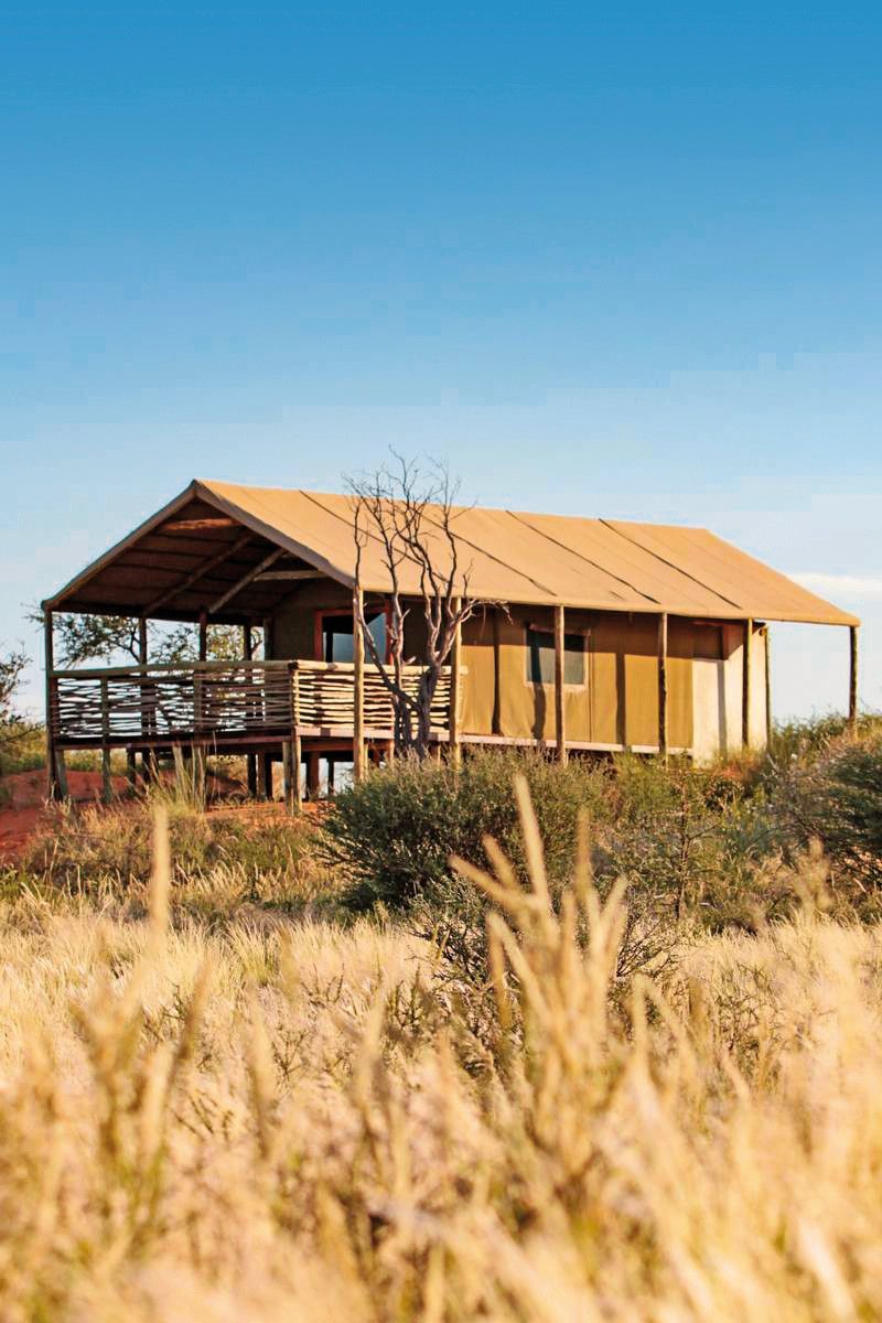 Intu Afrika Kalahari – Suricate Tented Lodge
