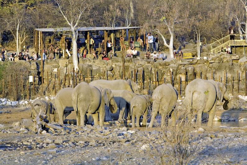 Namibia Wildlife Resorts – Halali Resort